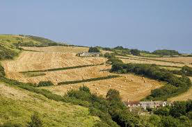 CORFE CASTLE COUNTRYSIDE WITH COTTAGES